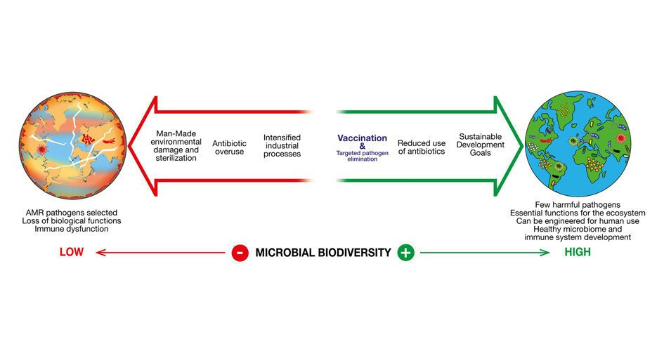 Save the microbes to save the planet. A call to action of the International Union of the Microbiological Societies (IUMS) 
