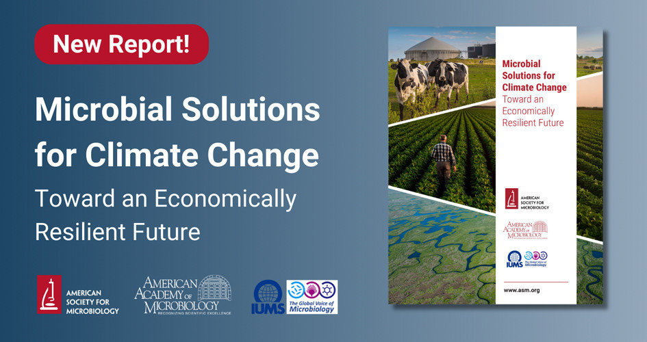 Microbial Solutions for Climate Change: Toward an Economically Resilient Future