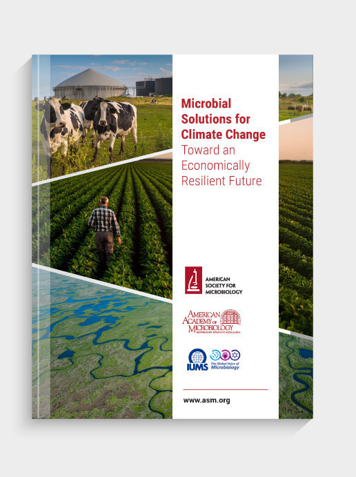 Microbial Solutions for Climate Change: Toward an Economically Resilient Future