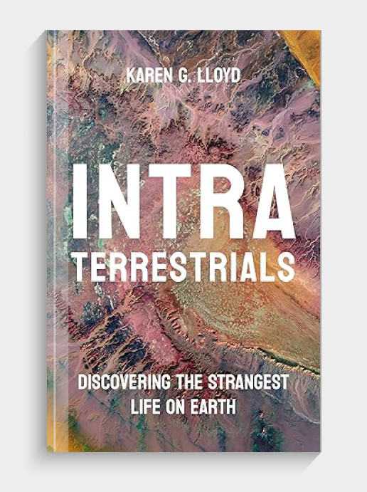 Intraterrestrials: Discovering the Strangest Life on Earth