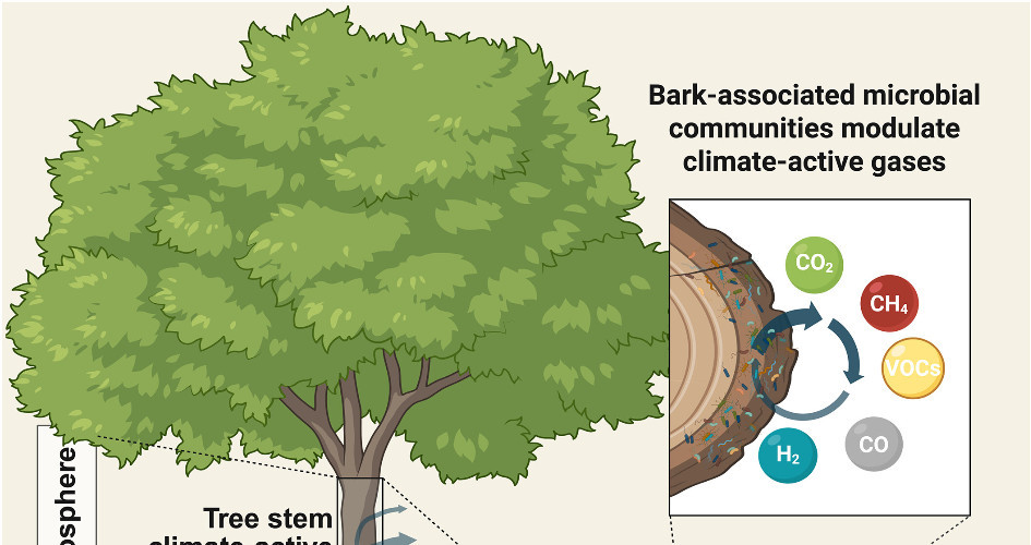 New evidence of the role of microbes in climate management